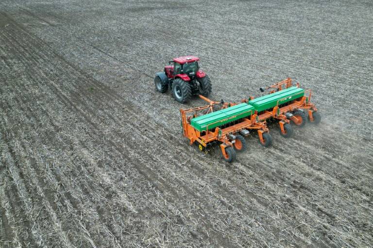 Argentina,elecciones,agricultura,ganadería