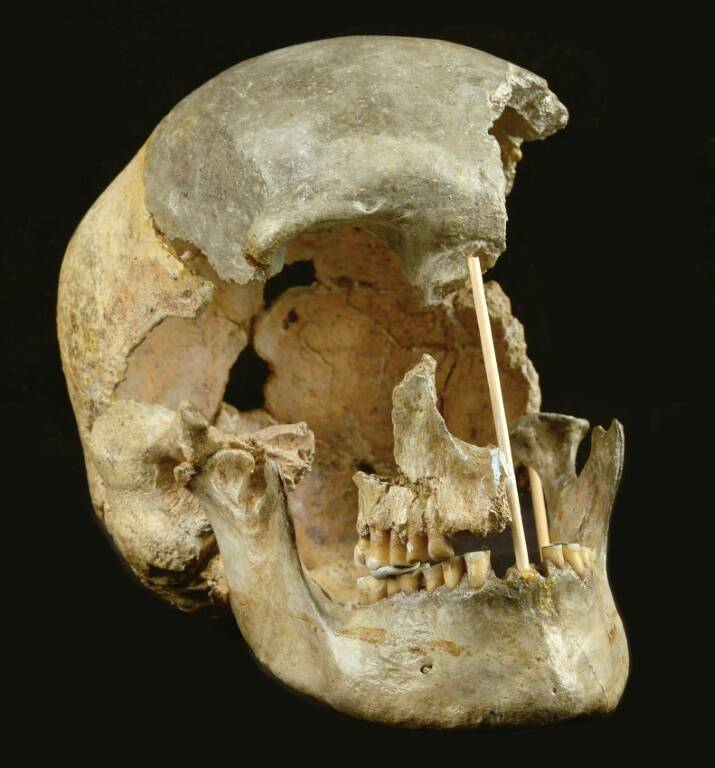 genética,paleontología,arqueología,meteorología