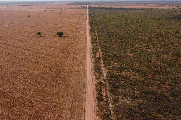 Brasil,clima,medioambiente,Cerrado,agricultura