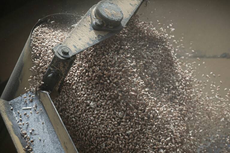 Rusia,Ucrania,conflicto,agricultura,materias,primas,transporte,seguros