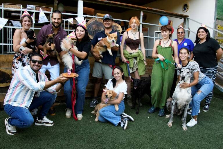 animales,restaurante,animales,restaurante,perros,CostaRica,animales,restaurante,perros,CostaRica
