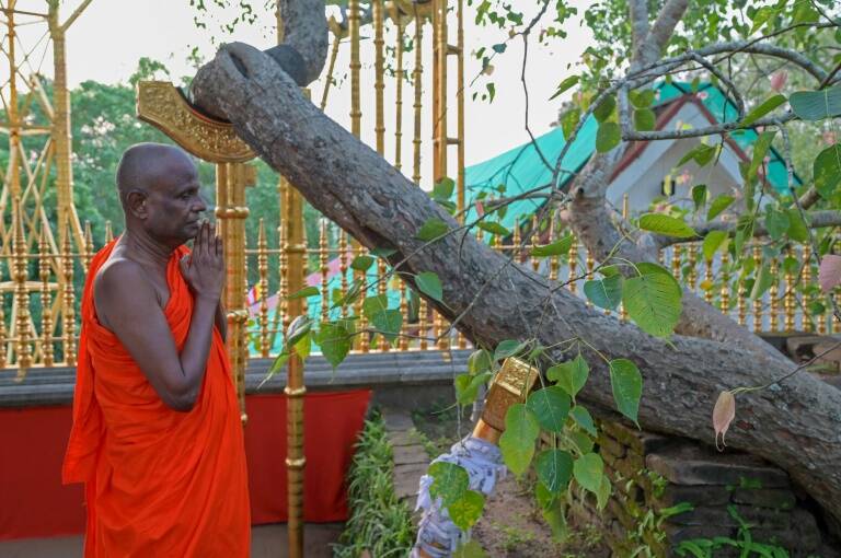 SriLanka, bouddhisme, dsinformation, religion, nature, technologies, tlcoms, quipements