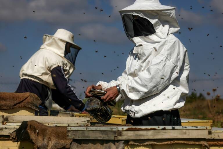 Israel,Palestinians,conflict,agriculture,environment