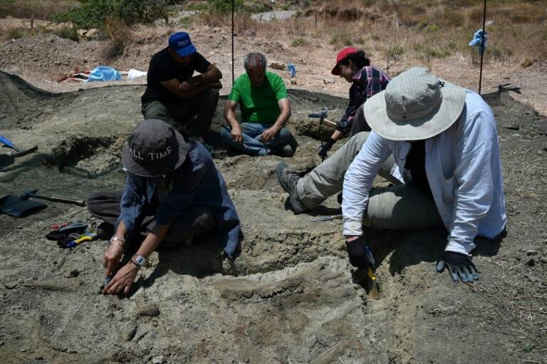 Grecia,paleontología