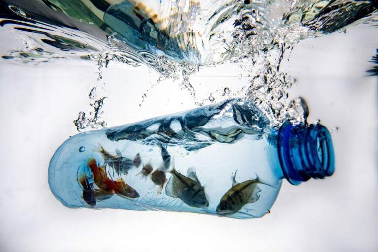 ONU,océanos,medioambiente,plásticos