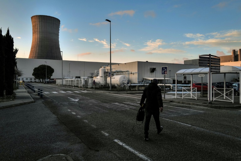 Francia - energa - electricidad - nuclear - poltica