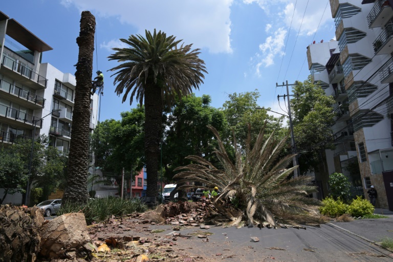 Mxico - medioambiente - urbanismo