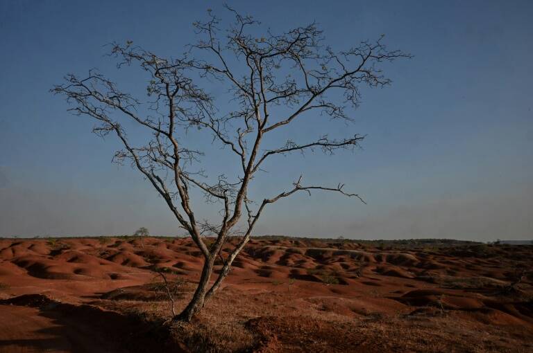 Brasil,medioambiente,agricultura,ganadería