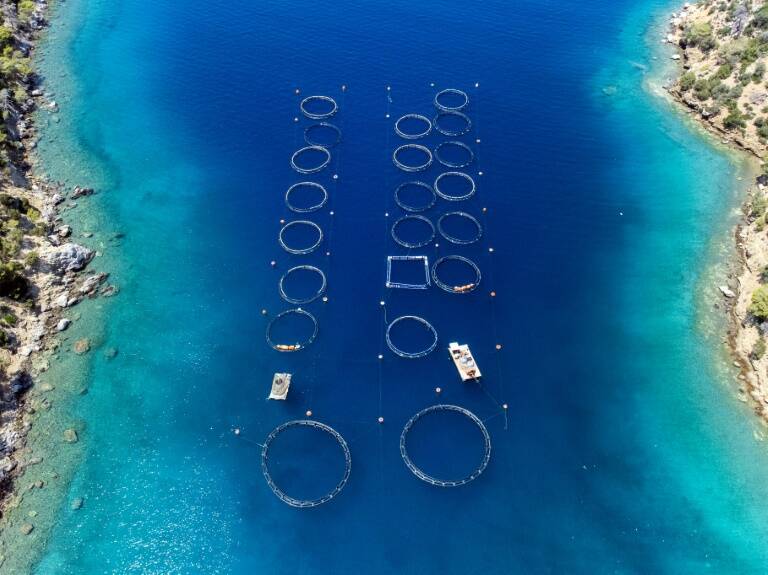 Grecia,pesca,turismo,acuicultura