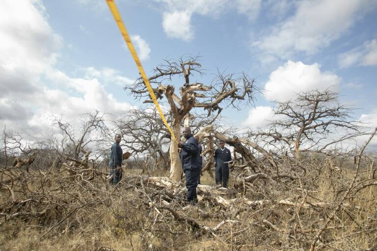 Kenya,climate,investments