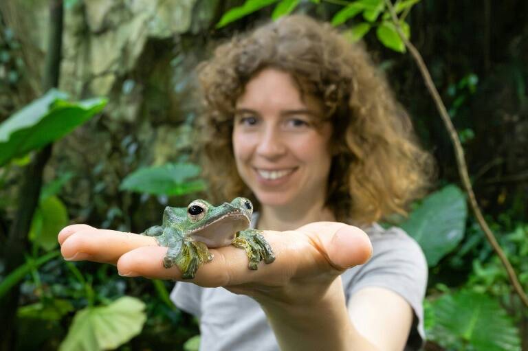 Austria,animales,genética,biología,insólito