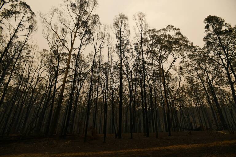 Australia,incendio,emergencia