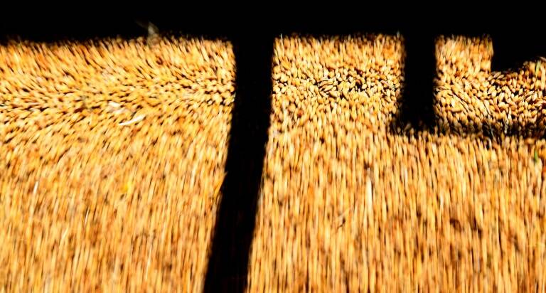 China,Australia,trade,barley