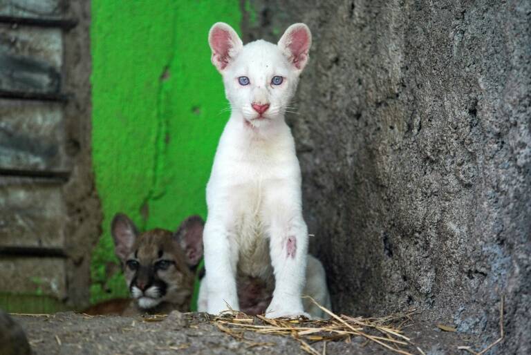Nicaragua,medioambiente,sociedad,biología