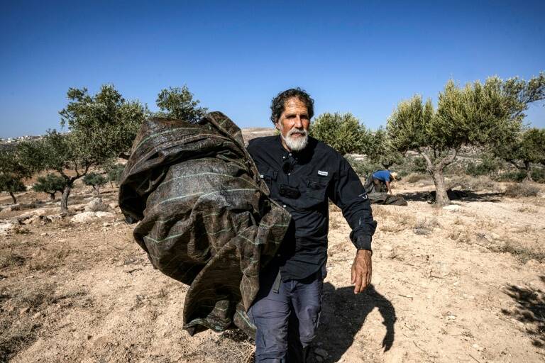 Israel,conflicto,palestinos,agricultura