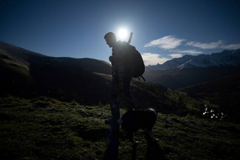 Francia,gobierno,caza,medioambiente,animales
