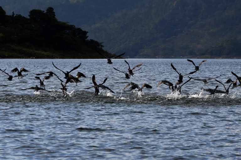 Honduras - medioambiente - pesca - energa - naturaleza