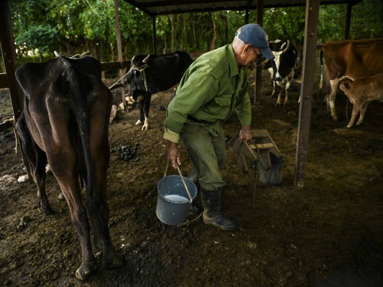 Cuba,alimentos,alimentación,agricultura,parlamento