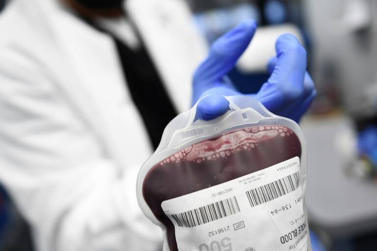 Health,US,Red,Cross,blood,LGBT,health