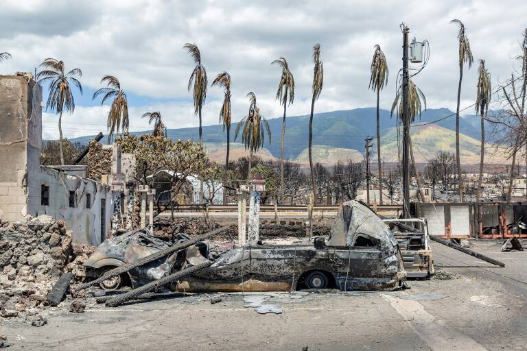 incendie - environnement - tempte