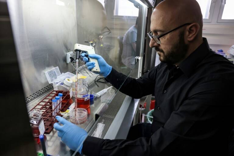 Health,science,embryo,ethics