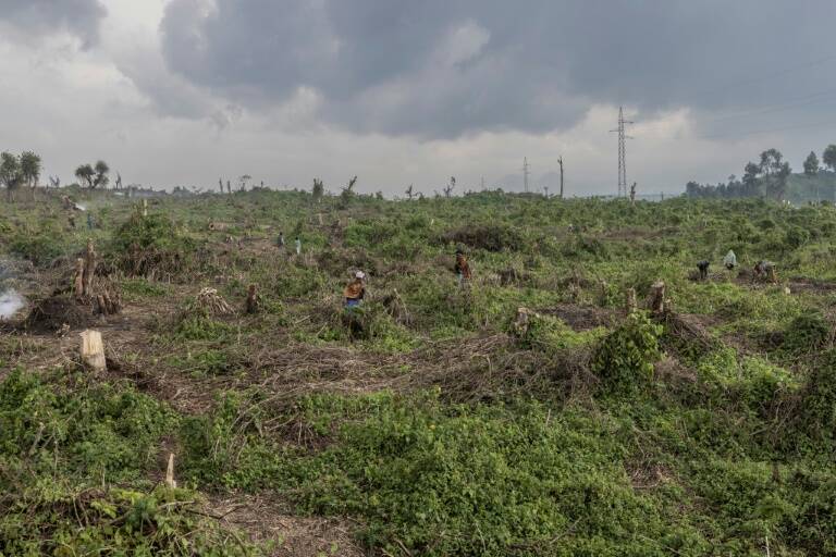 RDCongo,medioambiente,conflicto,refugiados,bosques