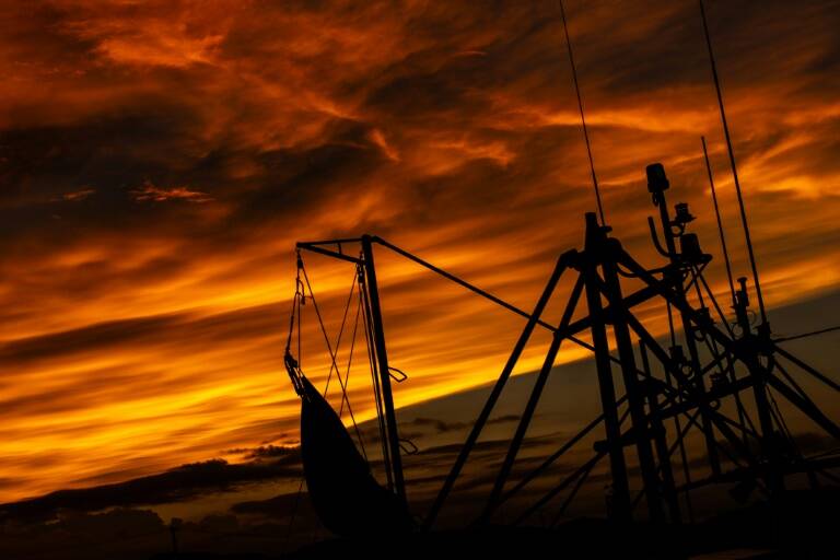 Japón,océanos,gobierno,diplomacia,pesca,contaminación,nuclear