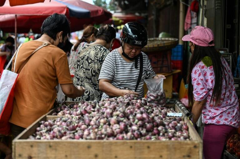 Philippines,agriculture,onion