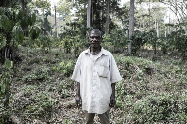 RCentroafricana,cultura,medioambiente,minorías,bosques