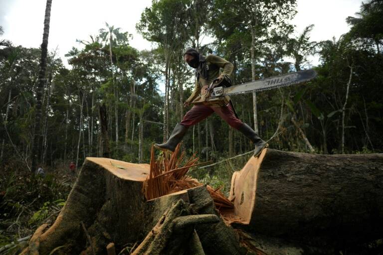 medioambiente,medioambiente,Colombia,medioambiente,Colombia