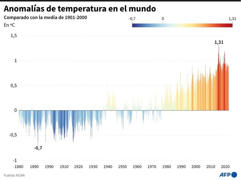 noticia