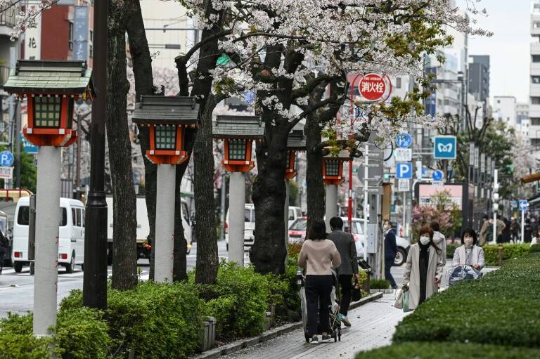 Japón,sociedad,género