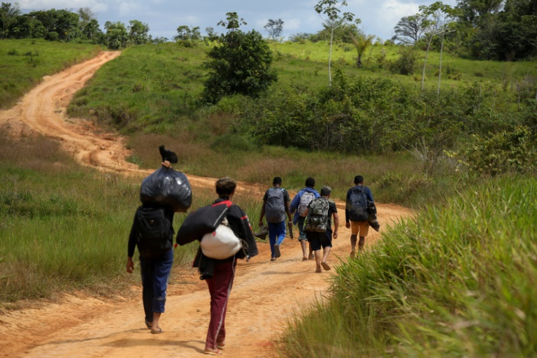 minería - niños - derechos - indígenas - criminalidad - salud - Brasil