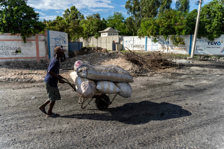 Hait - FMI - ayuda - pobreza - alimentos