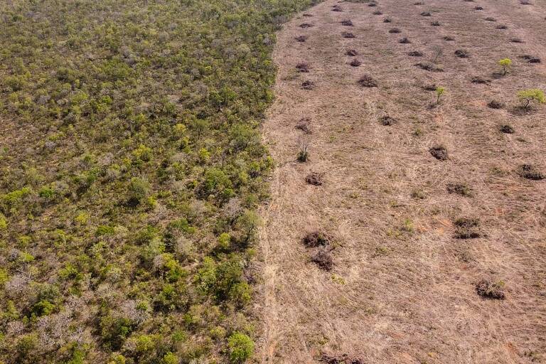 Brazil - environment - climate