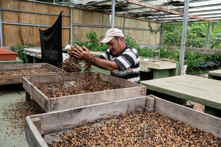 agricultura,materias,primas,orgánico,agricultura,materias,primas,orgánico,CostaRica,agricultura,materias,primas,orgánico,CostaRica