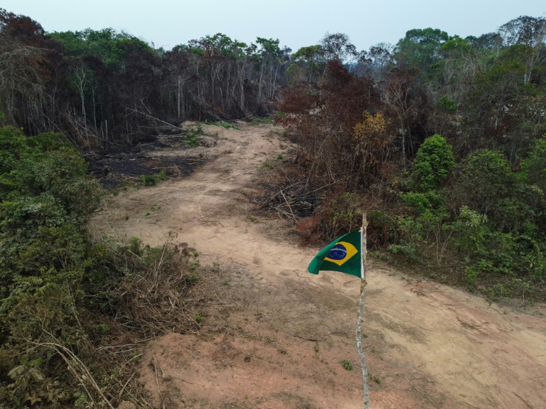 Brasil - poltica - medioambiente