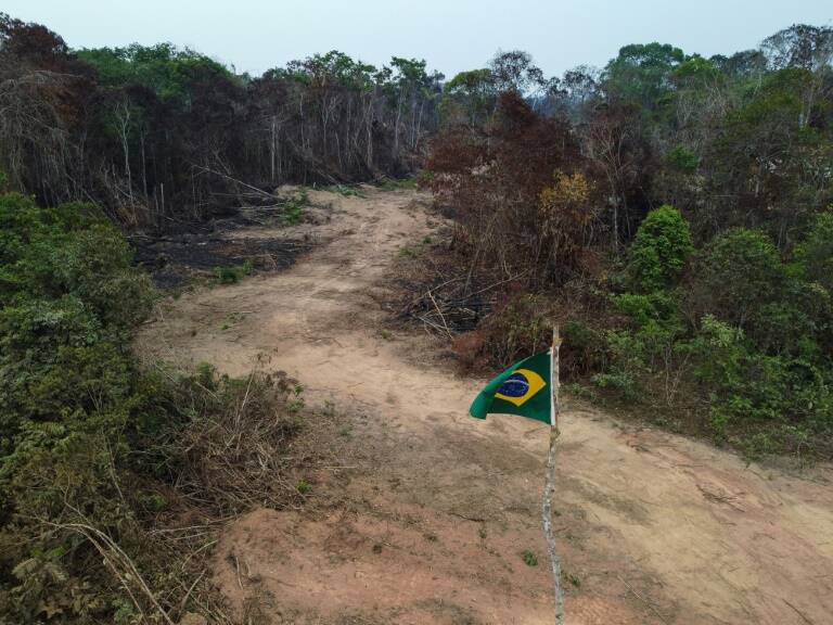 Brasil,política,medioambiente