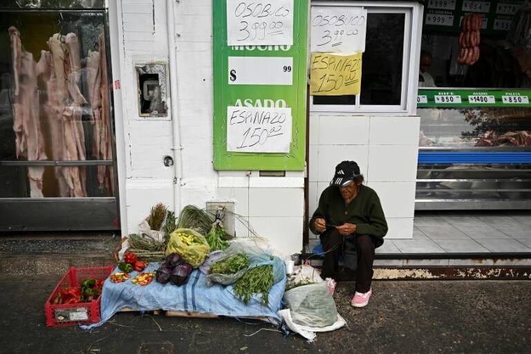 deuda,Argentina,FMI,conflicto,gobierno,política