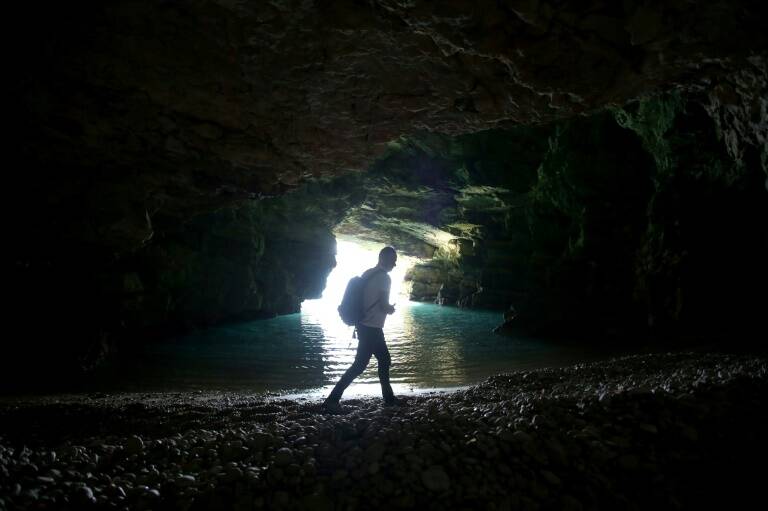 Albania,animales,medioambiente,ciencias