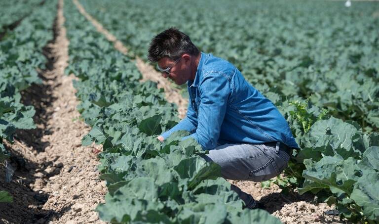 España,agua,clima,medioambiente,gobierno,elecciones,agricultura,UE