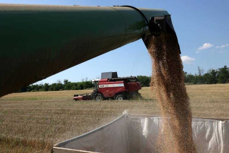 Croacia,Ucrania,Rusia,conflicto,agricultura