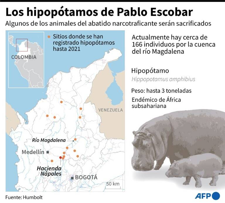noticia