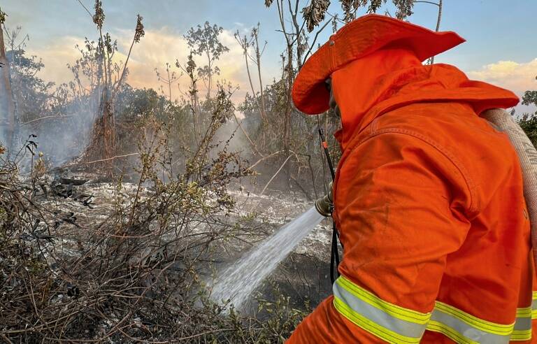 Brasil,animales,medioambiente,incendio