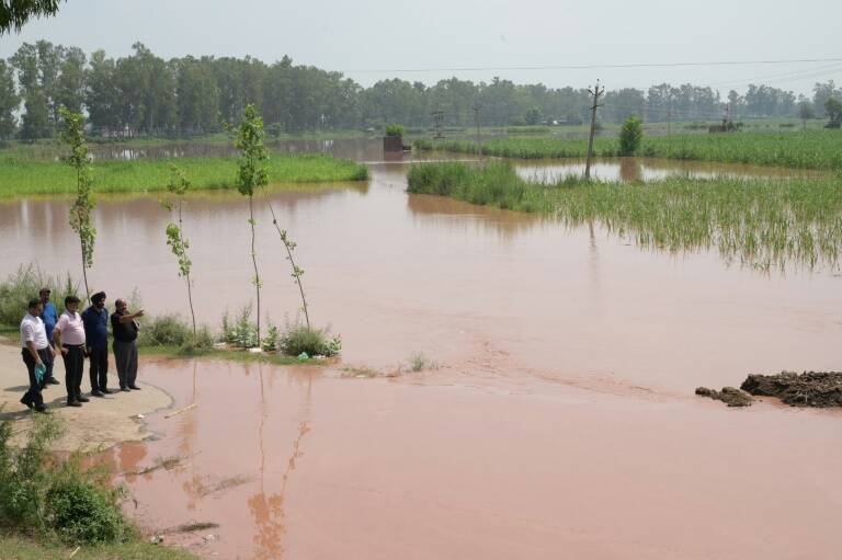 FAO,clima,agricultura,ganadería,hambruna