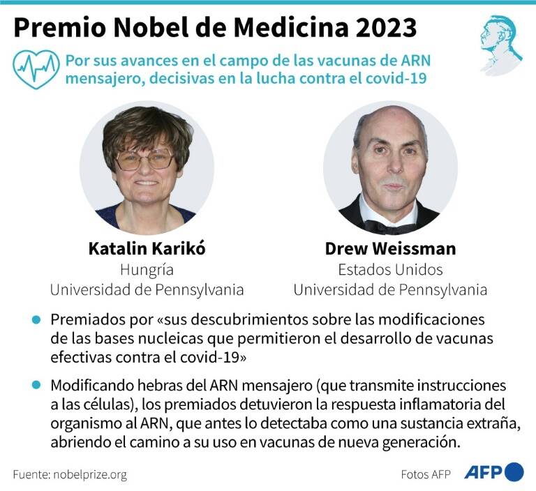 noticia
