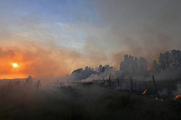 Algérie,incendie,météo,Tunisie,urbanisme,climat