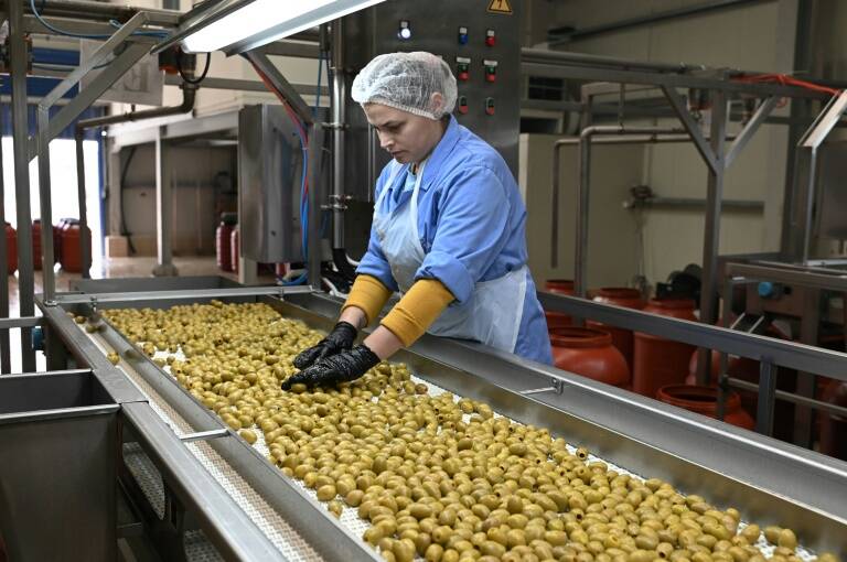 Grecia,clima,agricultura,alimentos