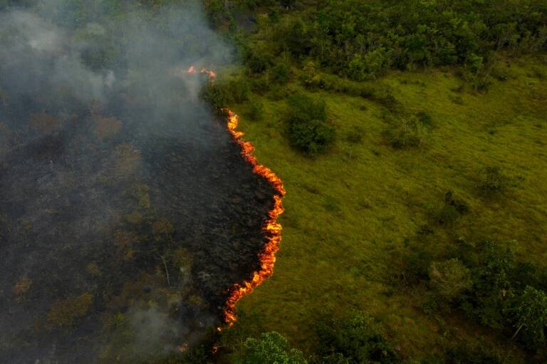 medioambiente - derechos - homicidio - Colombia