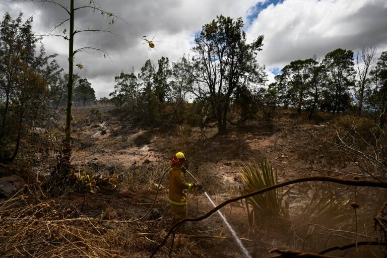 USA,environnement,incendie,assurances